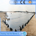 Mejor precio Fish Farm Pond Liner HDPE Geomembrana